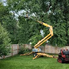 Best Grass Overseeding  in Bangor, WI