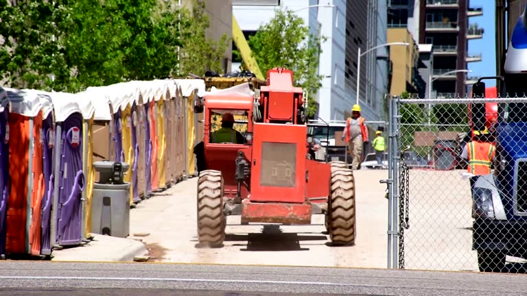 Best Tree Maintenance Programs  in Bangor, WI
